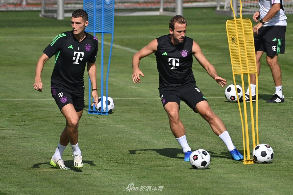 承担主要得 承担主要得